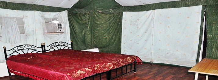 2258/Hotel Padmini - Chittorgarh 17.jpg